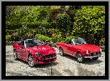 Fiat 124 Spider, Czerwone, Samochody